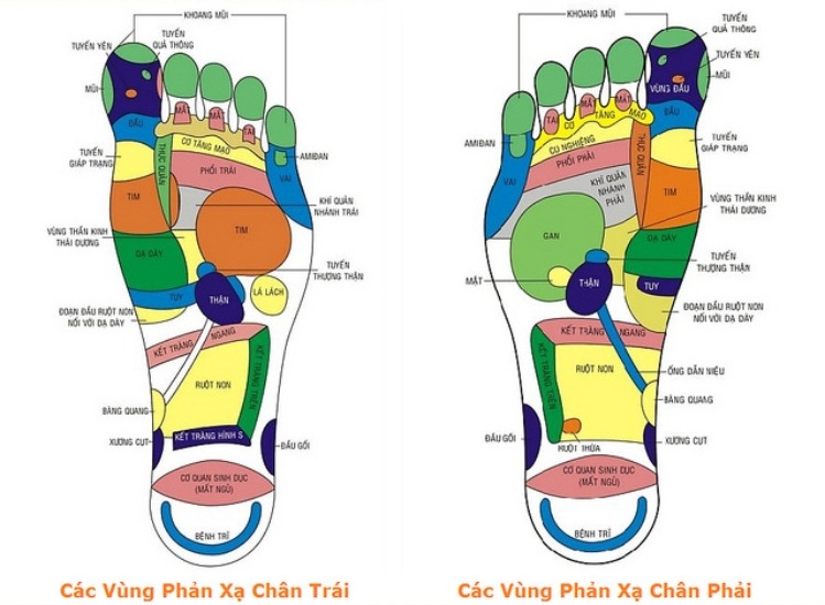 5 Cách bấm huyệt giảm đau đầu ngay lập tức